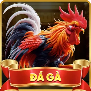 Đá gà trực tuyến ABC8